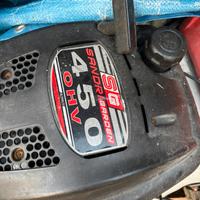 Taglia erba Sandri Garden