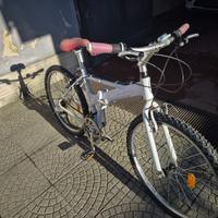 bici Pirinfarina