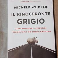 Il rinoceronte grigio / Michele Wucker