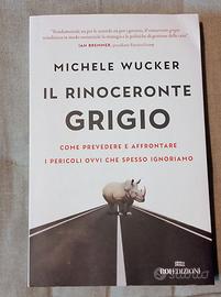 Il rinoceronte grigio / Michele Wucker