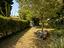 Immagine 18