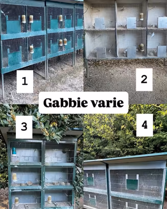 GABBIE PER UCCELLI