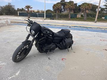 883 iron xl