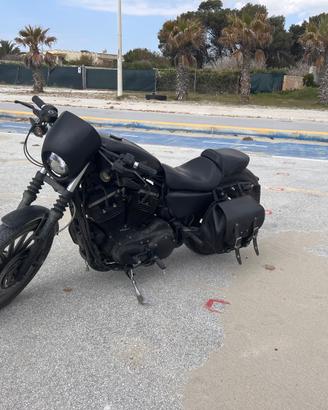 883 iron xl