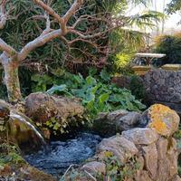 INTERA BIFAMILIARE INDIPENDENTE CON GIARDINO