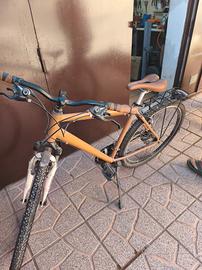 bicicletta da uomo 
