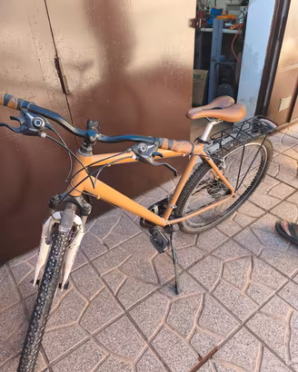 bicicletta da uomo 