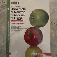 dalla mela di newton al bosone di higgs 1