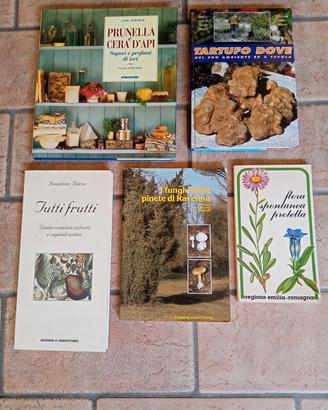 Stock di 5 libri 