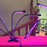 Grown light luce led piante interno