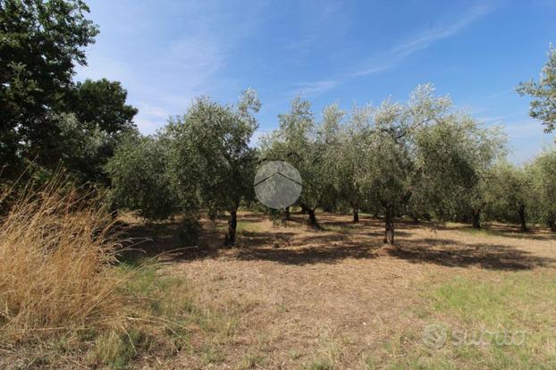 TER. AGRICOLO A FARA IN SABINA