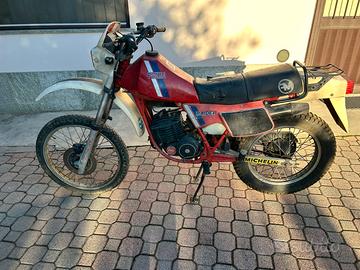 Fantic raider