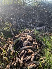 Legna di ulivo e quercia per camino 