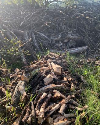 Legna di ulivo e quercia per camino 