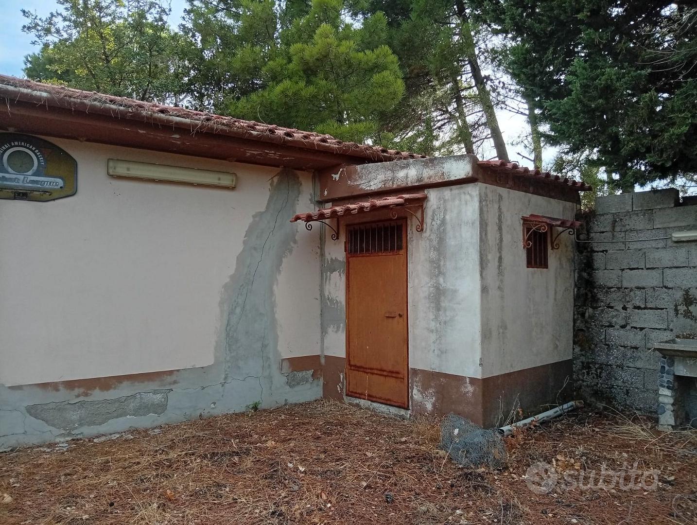 Terreno con ulivi e costruzione in muratura - Vista 2