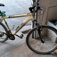 Mountain bike  uomo
