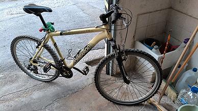 Mountain bike  uomo