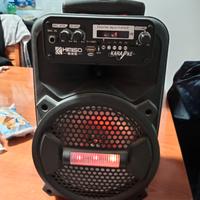 Cassa bluetooth 