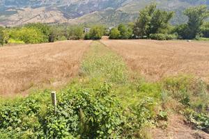 Terreno agricolo a bagnaturo