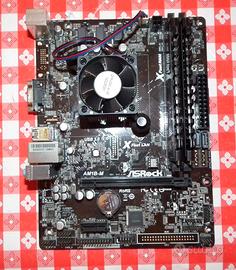 Scheda madre micro atx Asrock AM1B-M usb 3.0 Xfast