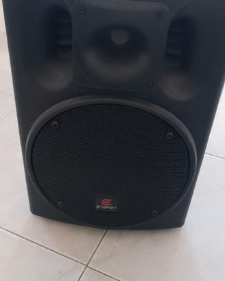 cassa professionale 