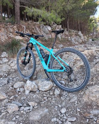 bianchi methanol 