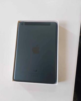iPad mini