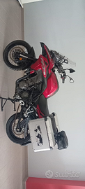 Benelli trk 502 x anno 2020