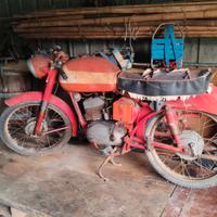 MiVal 125 T (Turismo) - Primi anni '50 Barn Find