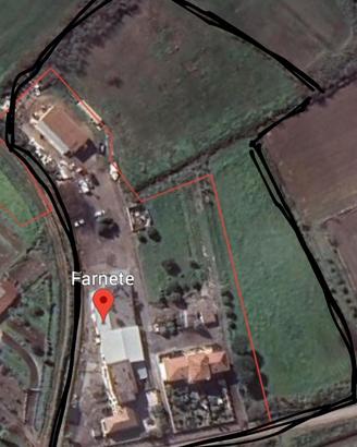 Piccolo complesso immobiliare - Farnete