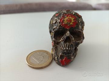 Teschio messicano, Calvera 