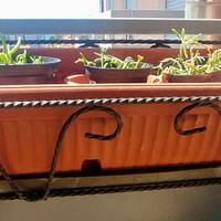 Nr. 4 Antiche fioriere in ferro battuto con ganci