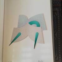 litografia DARIO BREVI /FIUME/FRANCIONE