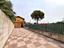 Immagine 29
