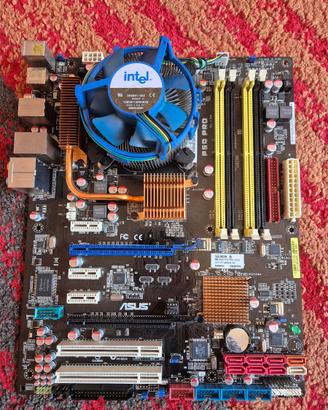 scheda madre ASUS P5Q PRO LGA 775 + Q6600 + 3GB