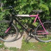 Bici mountain-bike