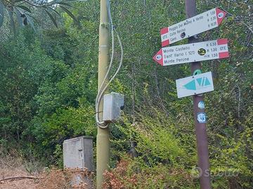 200 mt GTE tappa Procchio bilo max 4 prs p.auto