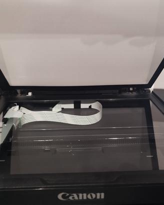 Stampante Canon Drucker MG2550s