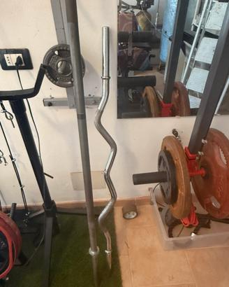 Bilancieri da palestra