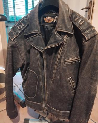 giubotto chiodo Harley Davidson