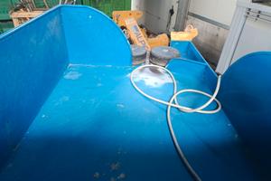 Sgranatrice per aglio