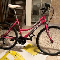 Bicicletta SBK Lady con ruote da 26 pollici