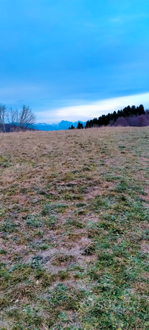 Terreno agricolo