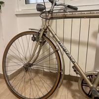 Bicicletta Rowena