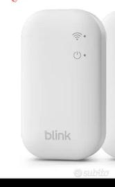 sync module 1 blink