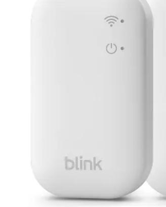 sync module 1 blink