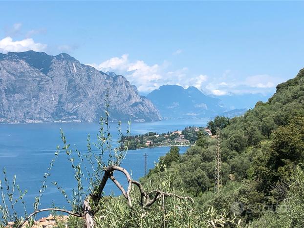 Uliveto al lago garda