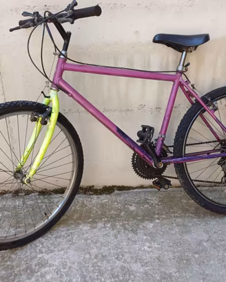 Mountain bike mis. 26