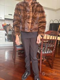 Pelliccia Visone