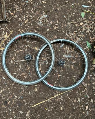 ruote bici campagnolo